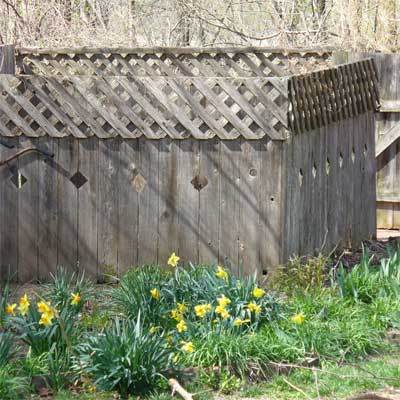 Serene Koi Pond: Before  for the this old house reader remodel yard and garden winners 2012