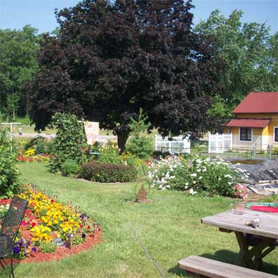 Surrounded by Flowers: After for the this old house reader remodel yard and garden winners 2012