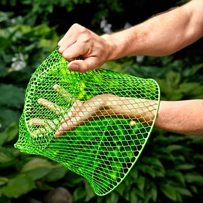 how to use a mesh basket to protect against vole damage