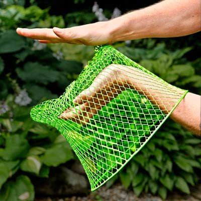 how to use a mesh basket to protect against vole damage