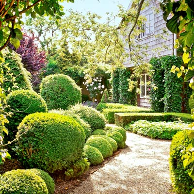 a well-framed, ornate garden pathway