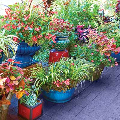 Gardening Questions on Use 18 Most Common Gardening Questions Answered Photos Garden