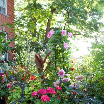 colorful flowers and shady trees in backyard