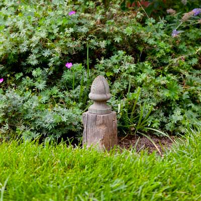high grass in yard with perennials in background 