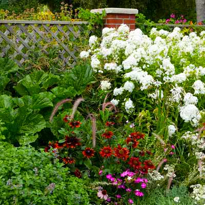 Gardening Questions on 18 Most Common Gardening Questions Answered Photos Garden