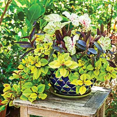 Gardening Questions on 18 Most Common Gardening Questions Answered Photos Garden