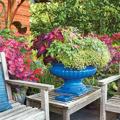Gardening Questions on Gardening Questions Answered Photos Garden Planning