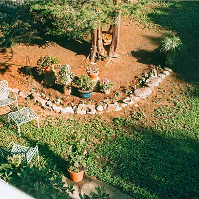before photo of garden and yard makeover 