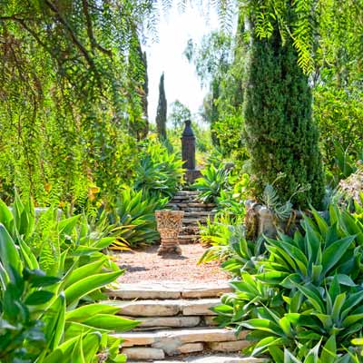 garden steps with fountain, Italian cypresses and Agave attenuate