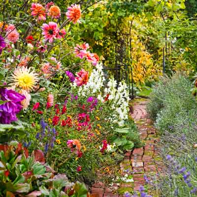 brick walkway surrounded by blooming flowers with nearby garden gate