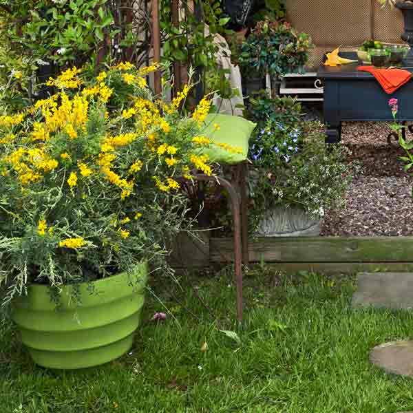 upgrade outdoor room, arbor with container plants
