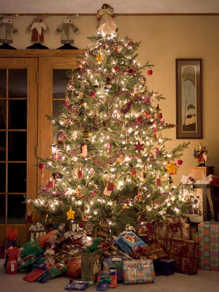 dimming down the tree craziest homeowner holiday dimming down the tree craziest homeowner holiday