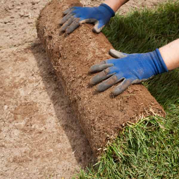DIY calorie burners woman laying sod in yard
