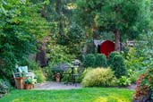 yard with outdoor rooms and unusual flowers