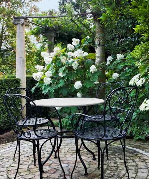 avoid invasive plants garden patio with dining set and Oakleaf Hydrangea