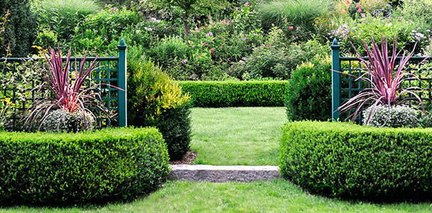 garden fence panels and posts