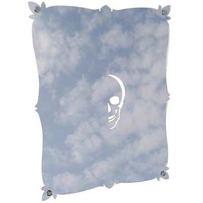scary mirror with skull pattern