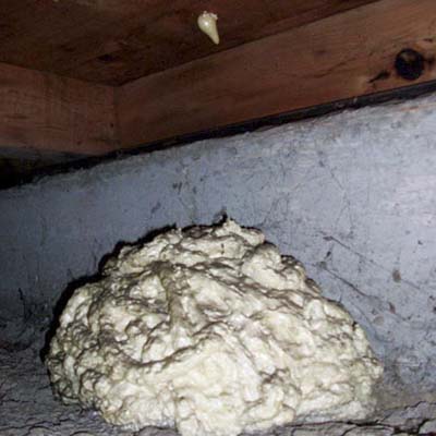 caulk foam filler