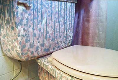 toilet paint