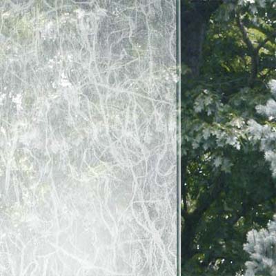 3M Window Film obscures views without blocking light
