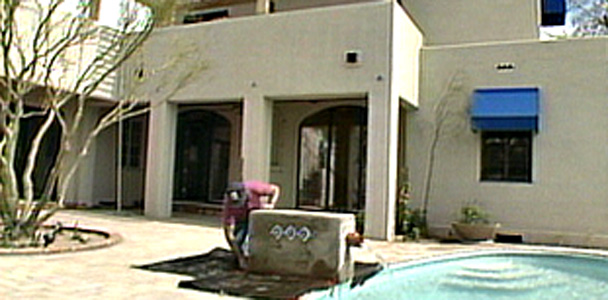 The Phoenix House