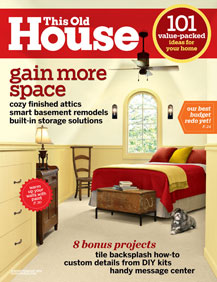 January/ February 2010 cover