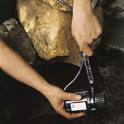 install the water pump