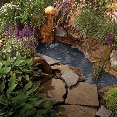landscape your pond with plants