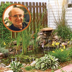 dan and gloria gibbon's backyard pond