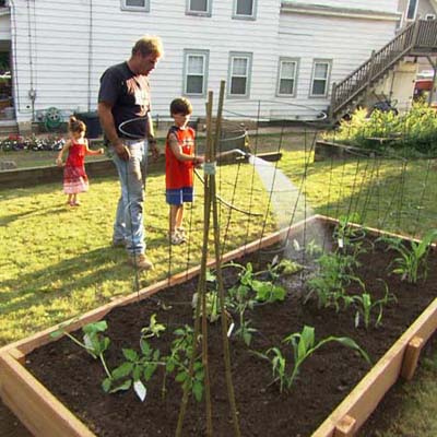 Water and mulch the bed | How to Build a Raised Vegetable Garden ...