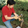 man hammering stone into the ground