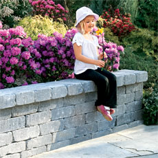 Little girl with flowers on sitting wall