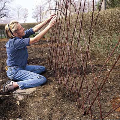 how to build a diamond-patterned twig trellis
