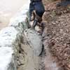 adding concrete to the side of edging blocks for reinforcement