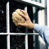 man using a natural sponge to clean smaller panes of glass