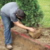 Man rolling a tree into a trench