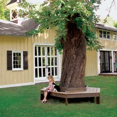 girl and cat sit on a tree bench reading