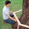 Mark Powers uses a template to check tree bench measurements against the tree