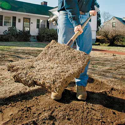 toh landscape contractor roger cook removing the grass