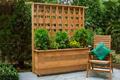 a finished planter with built-in trellis