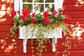 a newly installed PVC windowbox