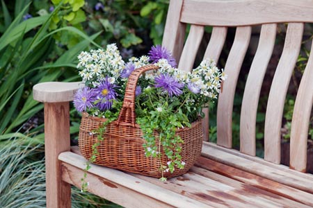 sunbleached wood outdoor bench with a basket of flowers