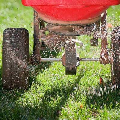 roger cook showing how to seed and prepare your lawn for winter