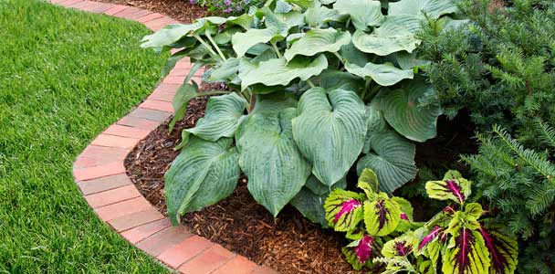brick paver edging for garden bed
