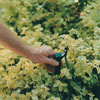 Position sprayers