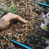 Covering with mulch