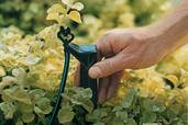 Drip Irrigation Step-by-step Tout
