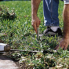 Preparing holes for landscape lighting