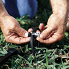 Making the electrical connections for landscape lighting