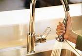 Pull-Out Faucet Tout